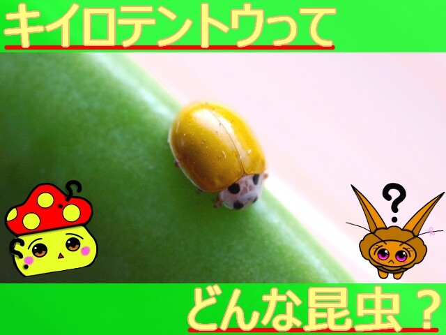 Thumbnail of post image 056